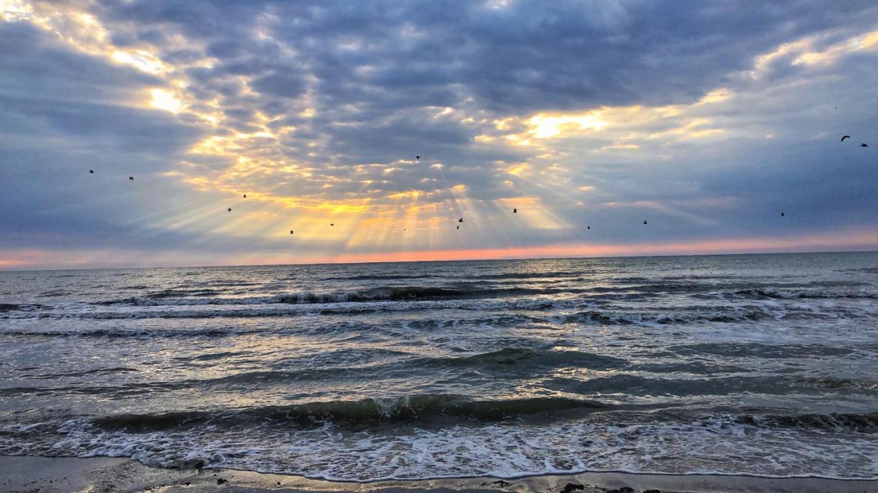 Lucky Star Studio Mamaia Nord Năvodari Exteriör bild
